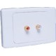 Economy 2 x RCA Wallplate