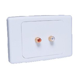 Economy 2 x RCA Wallplate