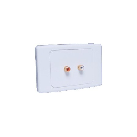 Economy 2 x RCA Wallplate