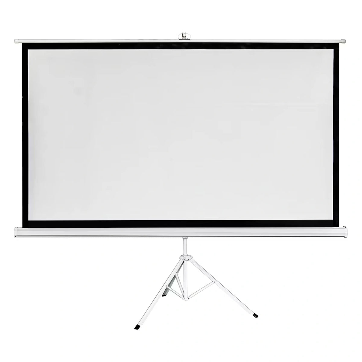 2.4m Wide Projection Screen with Tripod Base