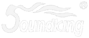 Soundking