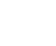 Wharfedale Pro